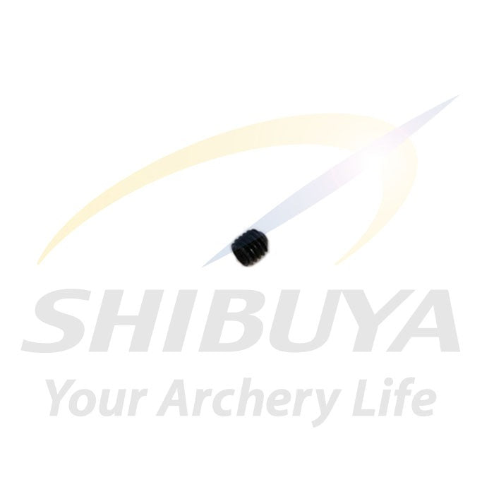 SHIBUYA SR-6 M3セットネジ黒